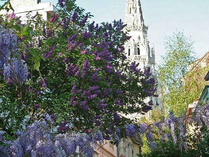 Chambre Chez L'habitant Anderlecht 179844-2