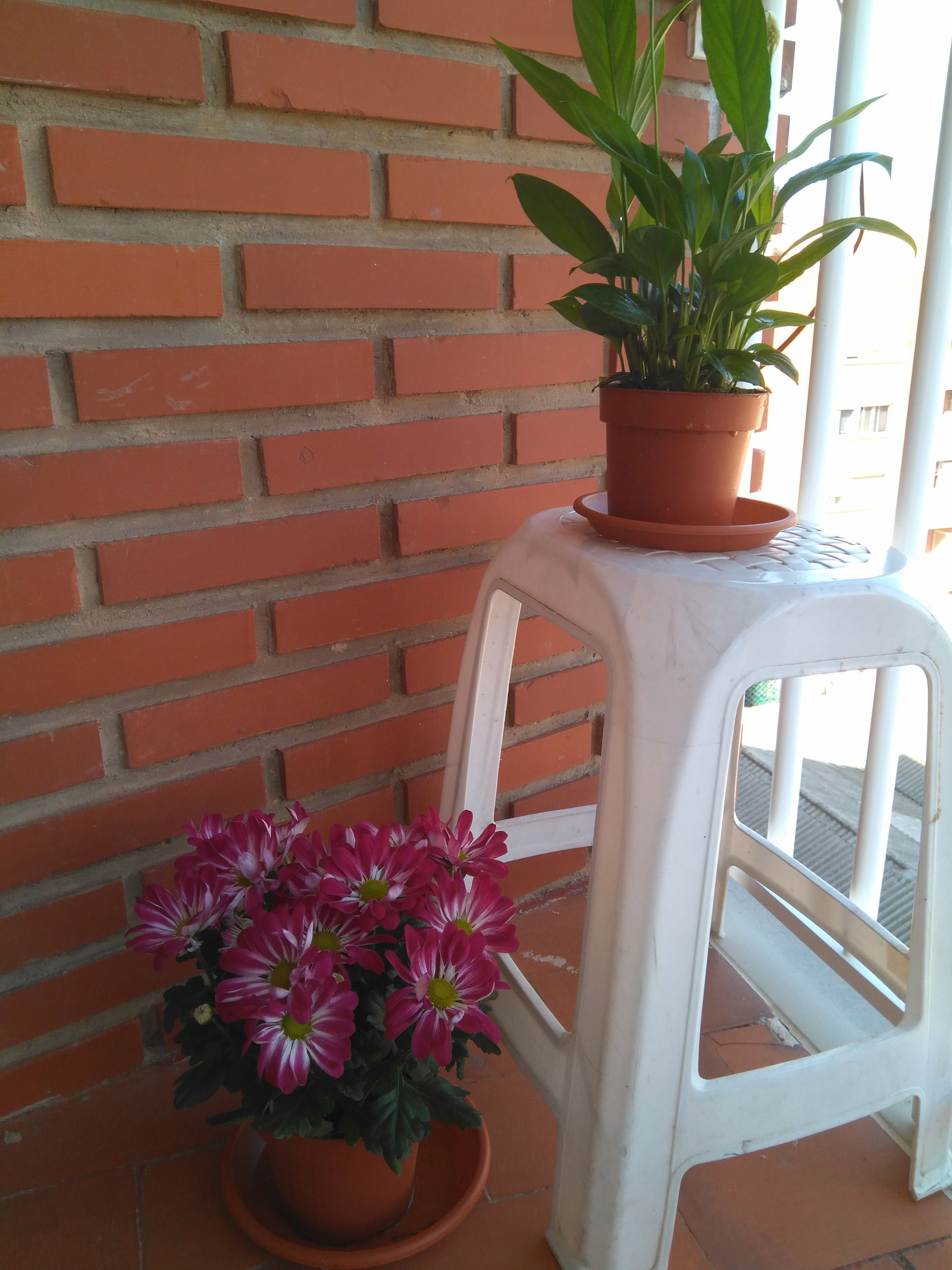 Chambre Chez L'habitant València 225107