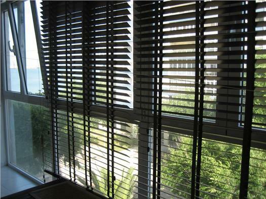 Colocation Cádiz 100803