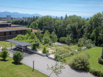 Colocation à louer à Le Mont-Sur-Lausanne - photo 4 : autre pièce-4