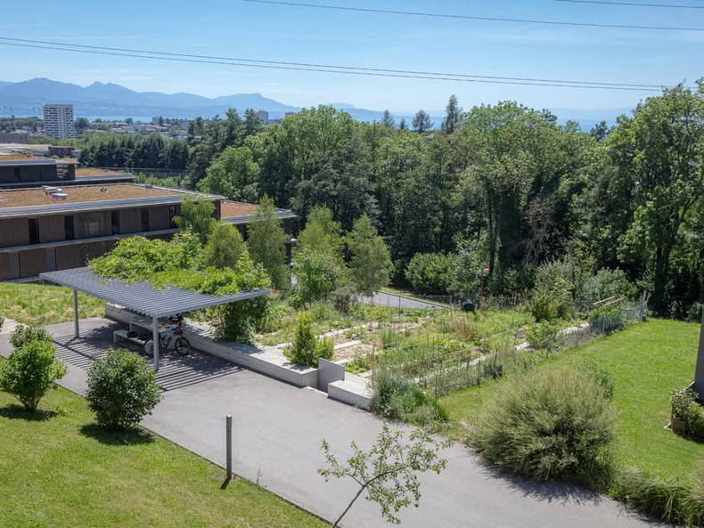 Colocation Le Mont-sur-Lausanne 667988-4