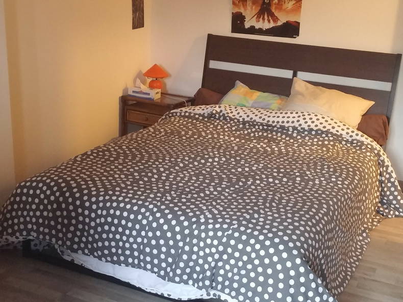 Homestay Bruay-la-Buissière 116355-1