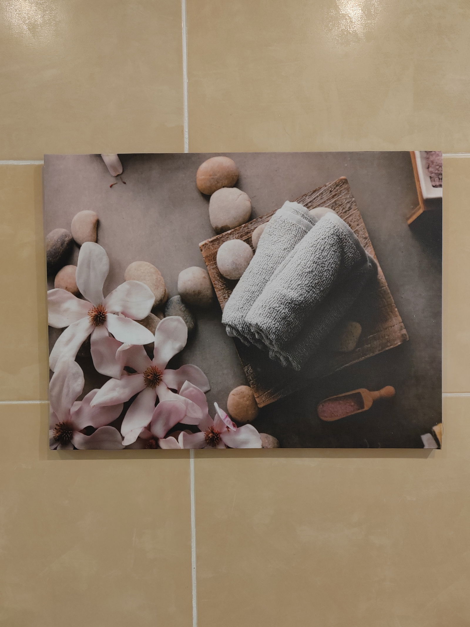 Chambre Chez L'habitant Ses Salines 313751