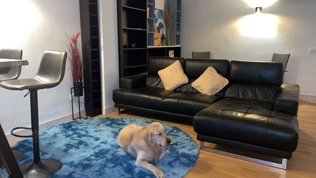 Chambre Chez L'habitant Port d'Andratx 374286