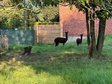 Homestay Binche 287788-9