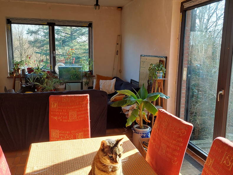 Homestay Fléron 447965-3