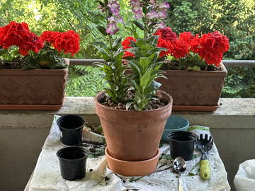 Chambre Chez L'habitant Basel 528850-8