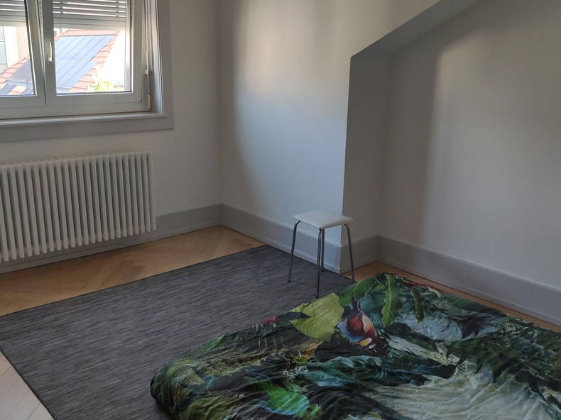 Chambre Chez L'habitant Fribourg 591797-1