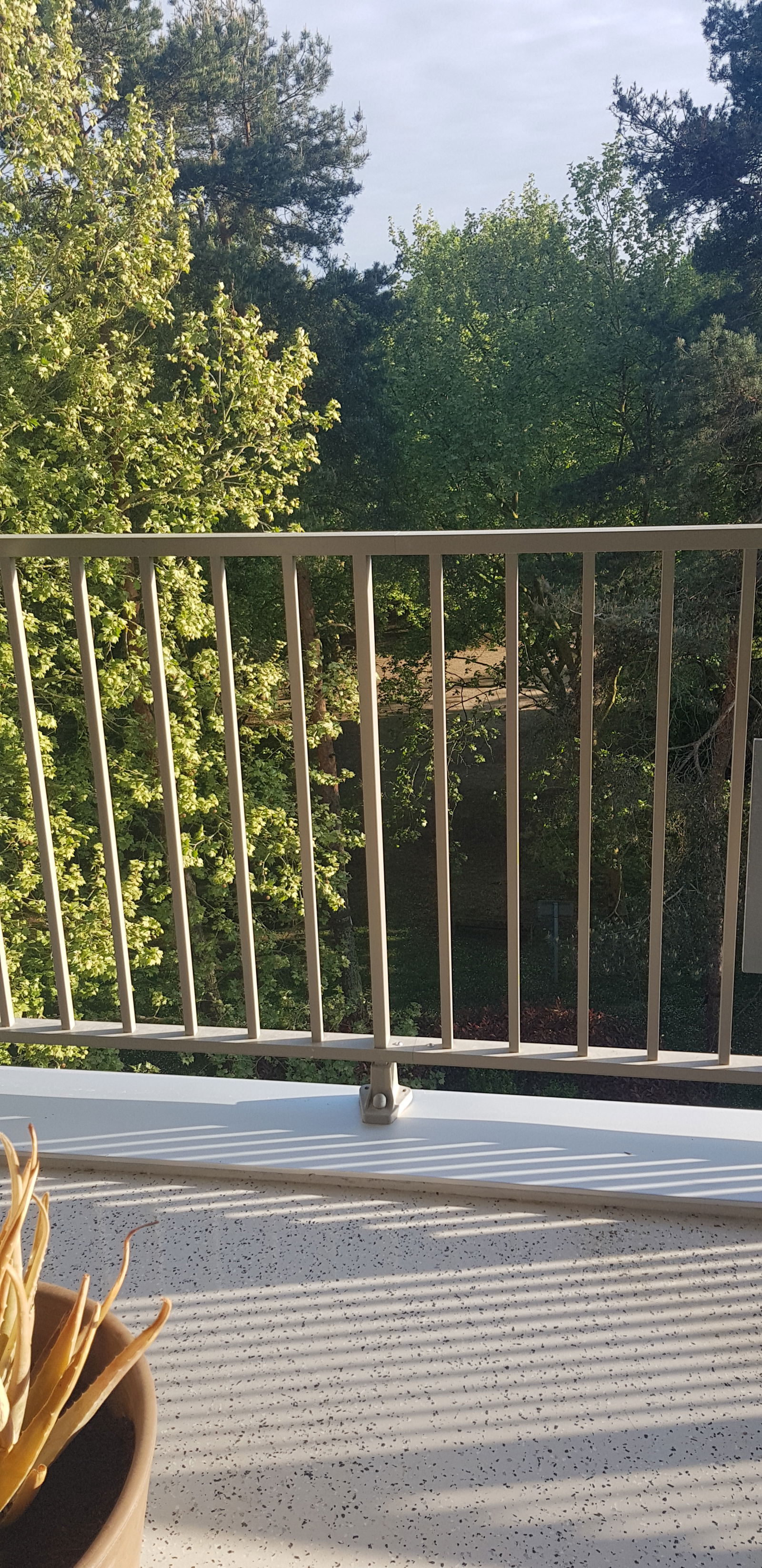 Chambre Chez L'habitant Lormont 260439