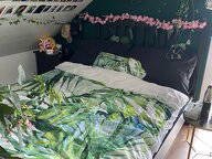 Colocation Yverdon-les-Bains 417043-5