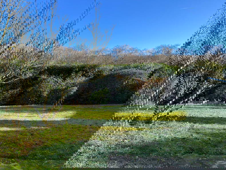 Chambre Chez L'habitant La Celle-Saint-Cloud 376744-5