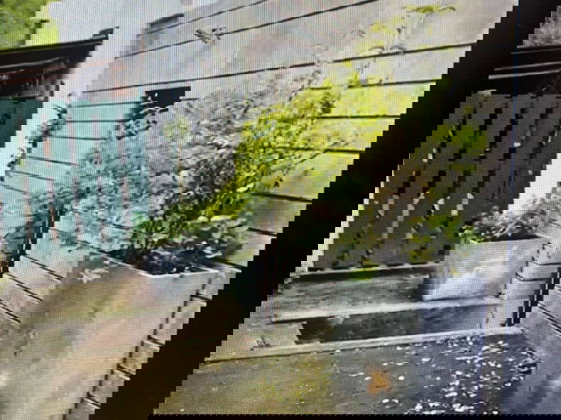 Chambre Chez L'habitant La Celle-Saint-Cloud 375562-5