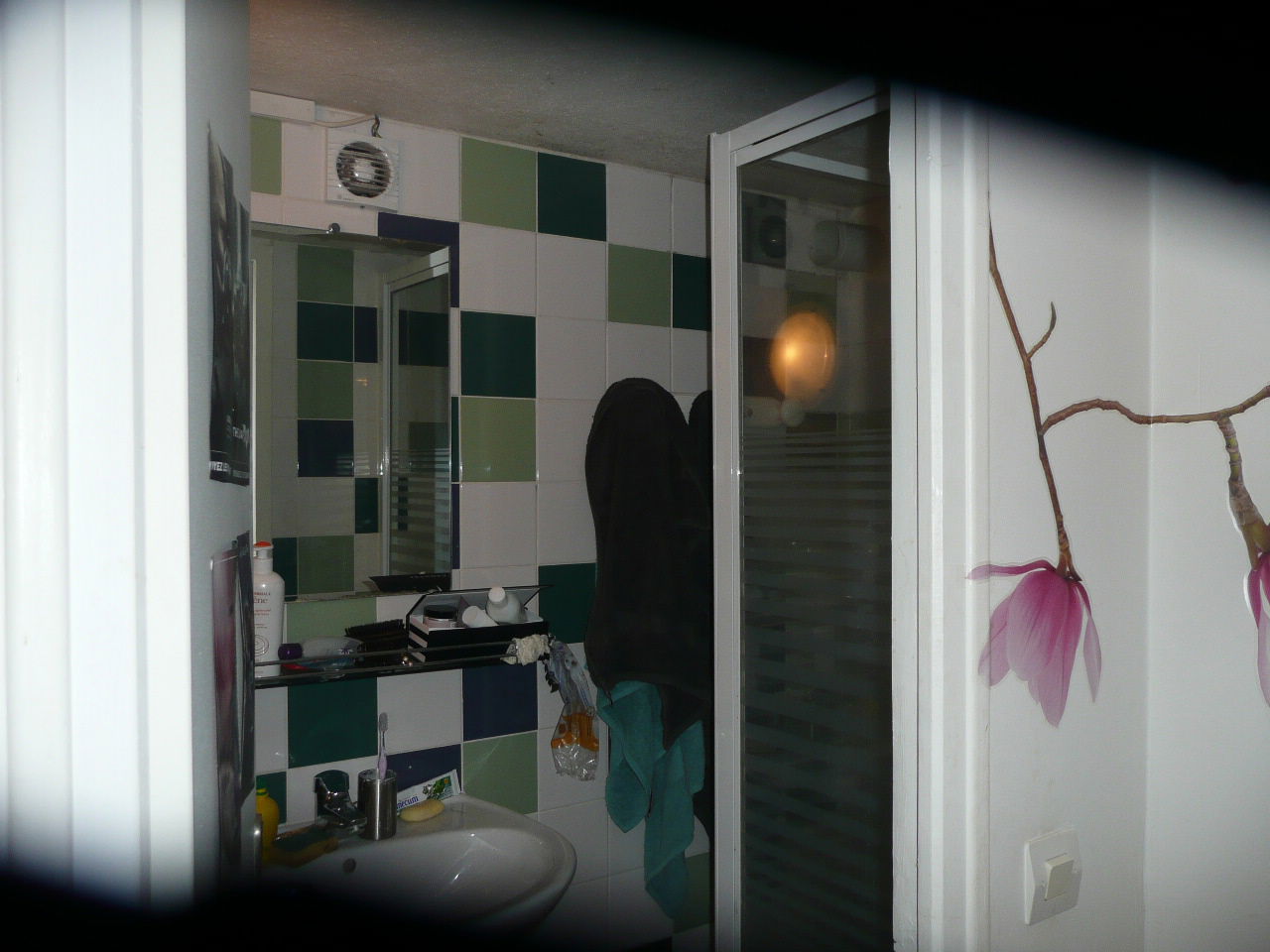 Chambre Chez L'habitant La Celle-Saint-Cloud 375562