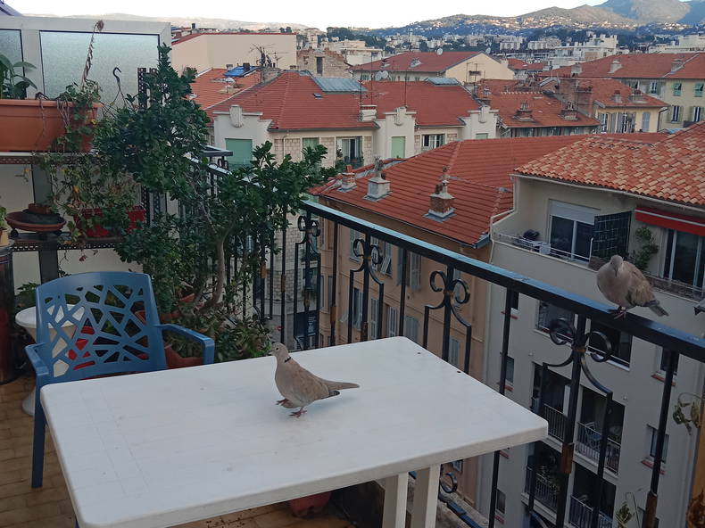 Colocation Nice 91279-2