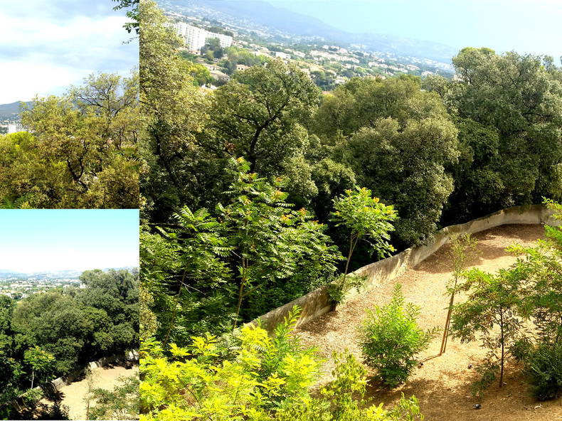 Colocation Marseille 144259-2