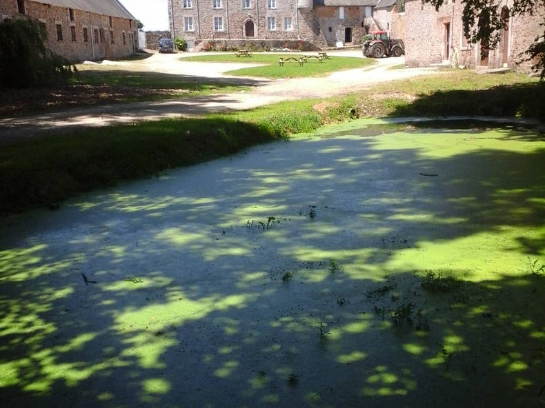 Colocación Saint-Nicolas-de-Pierrepont 147795-2