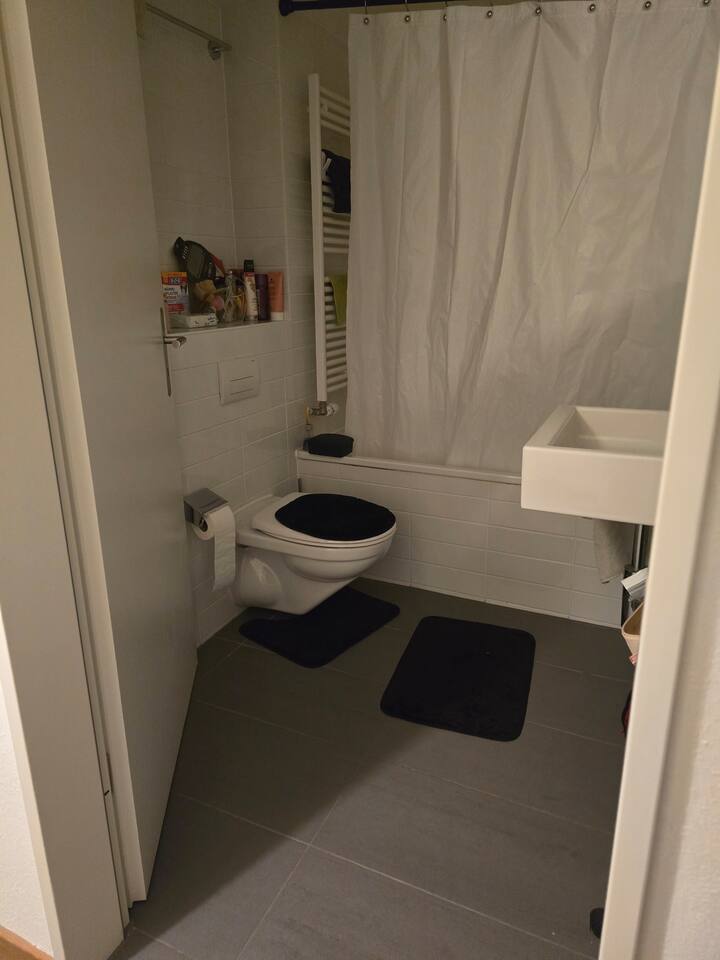 Colocation Bottmingen 479772