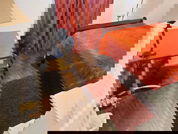 Colocation Trois-Rivières 543839-5