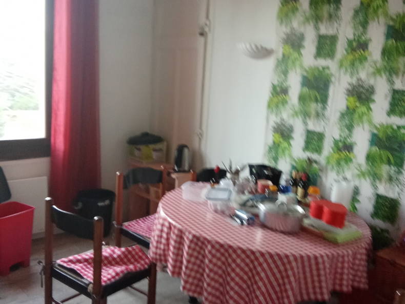 Logement Entier Annecy 668968-3