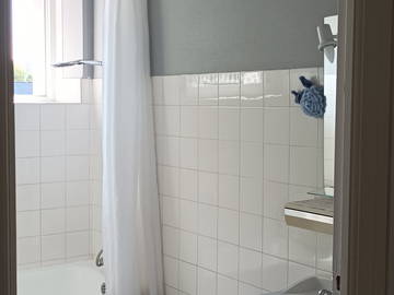 Chambre chez l'habitant à louer à Brest - photo 10 : salle de bain-10