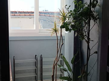 Chambre chez l'habitant à louer à Brest - photo 12 : autre pièce-12