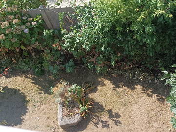Chambre chez l'habitant à louer à Brest - photo 13 : jardin-13