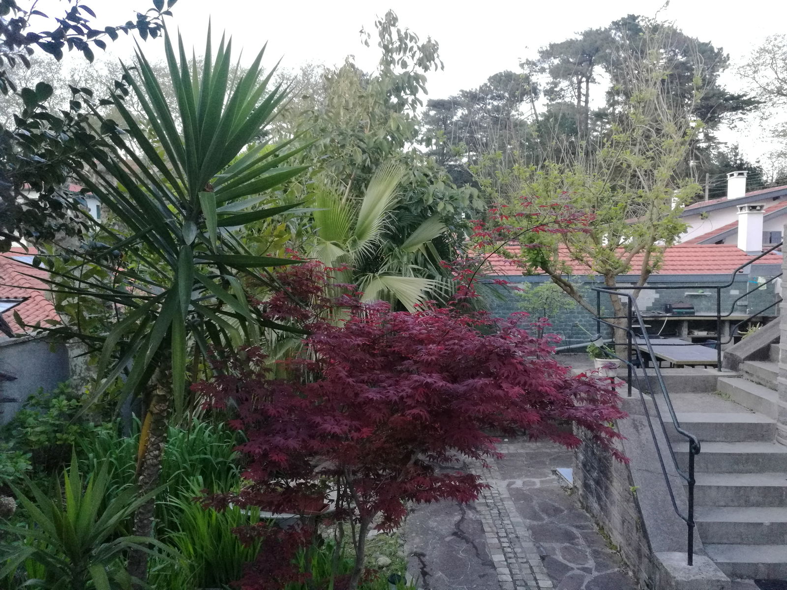 Colocation Biarritz 257443