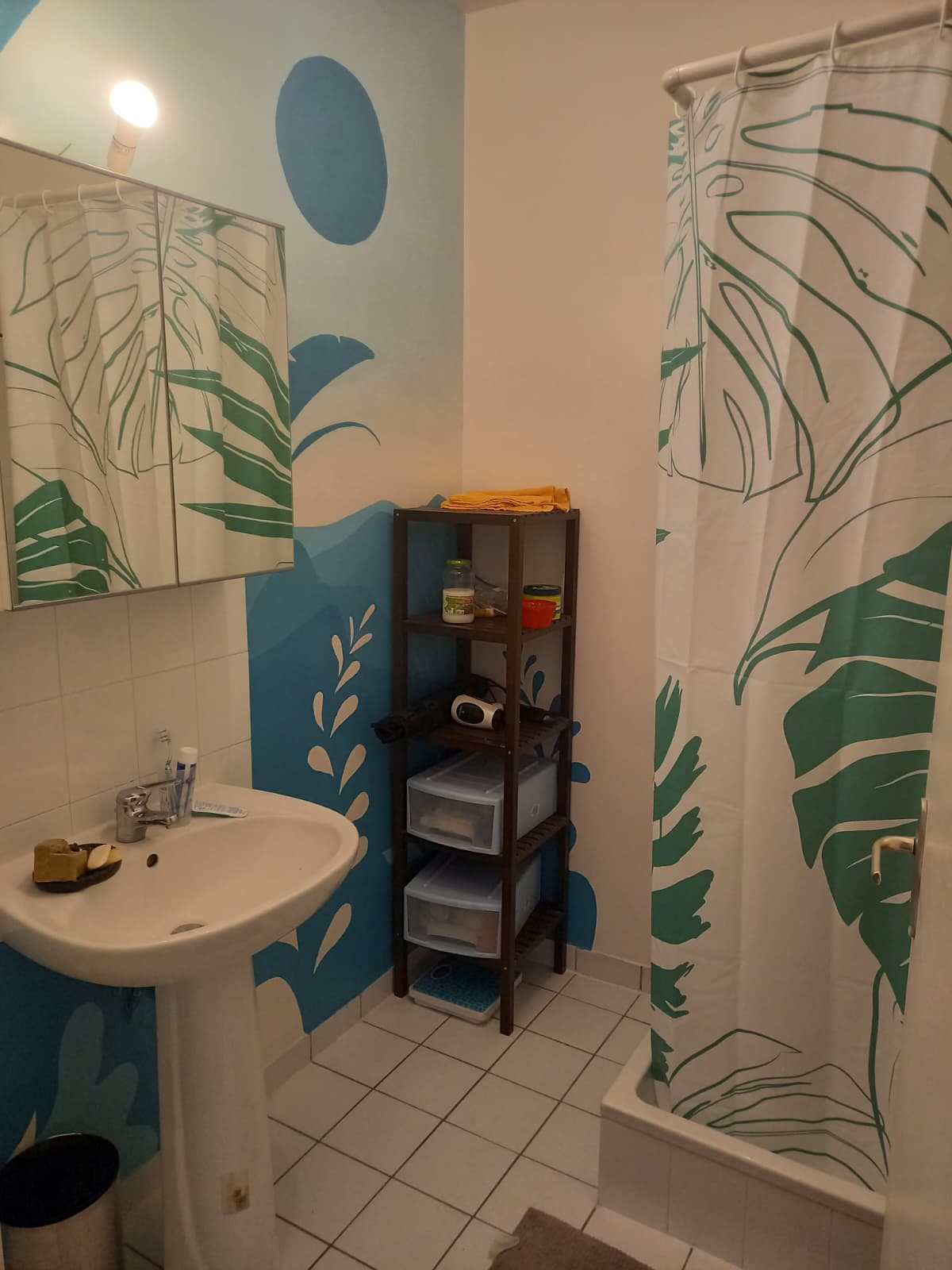 Colocation Lyon 628272