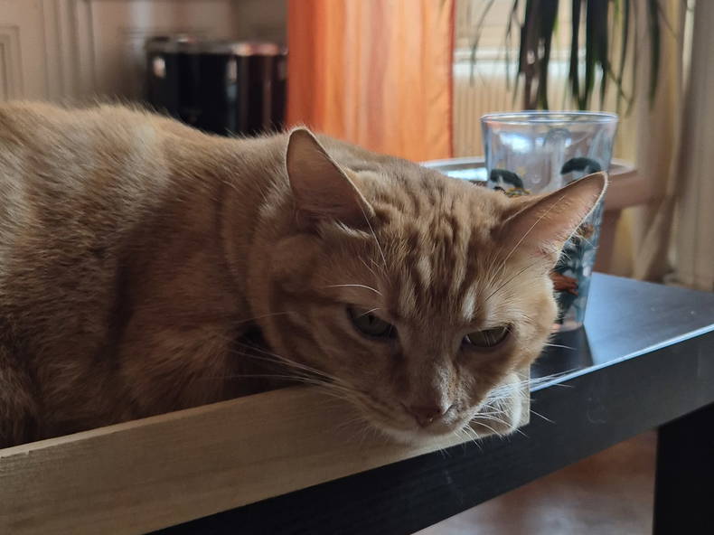 Kolokation Lyon 628272-2