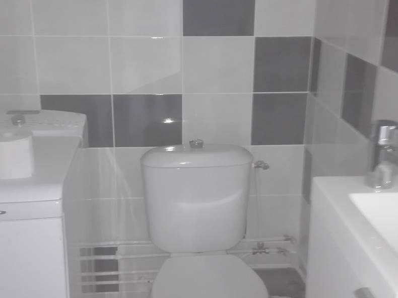 Colocation Toulouse 260238-4