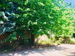 Colocation Strasbourg 524793