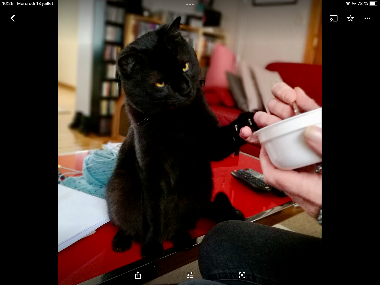 Colocation Jette 101379