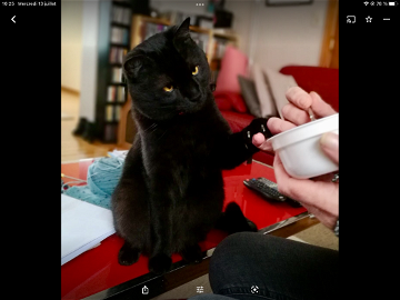 Shared Accommodation Jette 101379-7