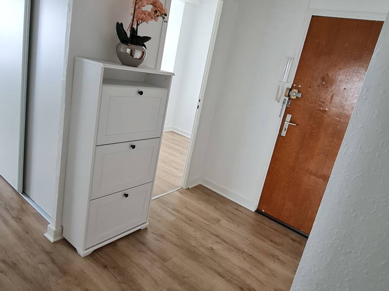 Colocación Dijon 494900-5