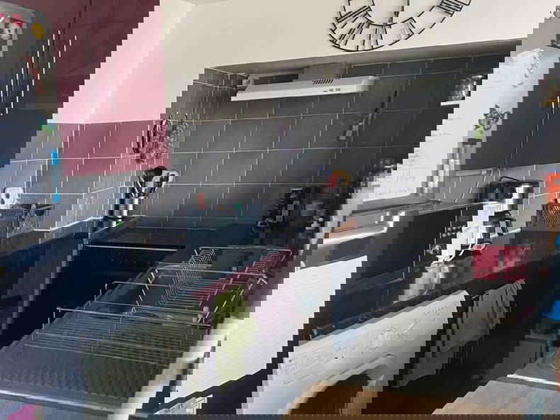 Kolokasie Toulouse 647964-1