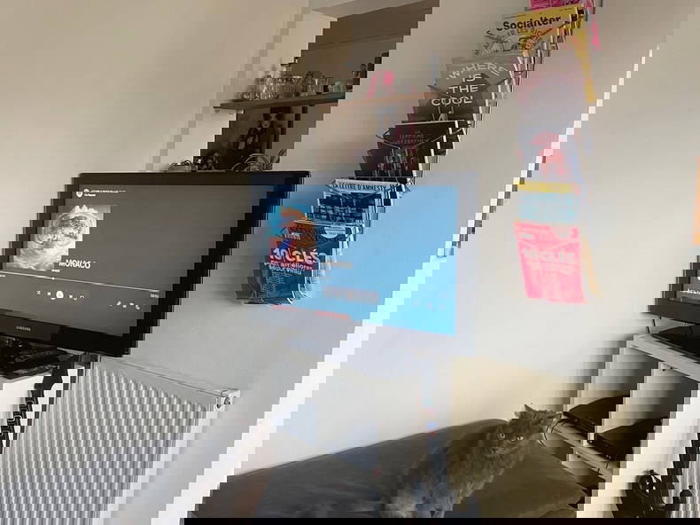 Colocation Toulouse 647964-4