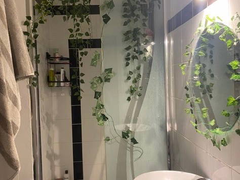 Colocation Toulouse 647964-5