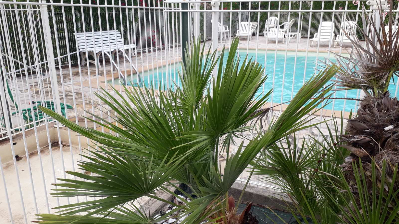 Colocation Antibes 661404