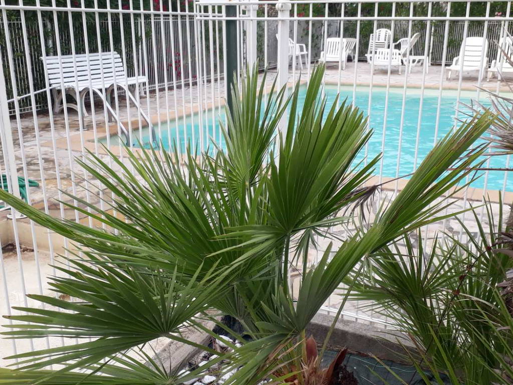 Colocation Antibes 661404-1