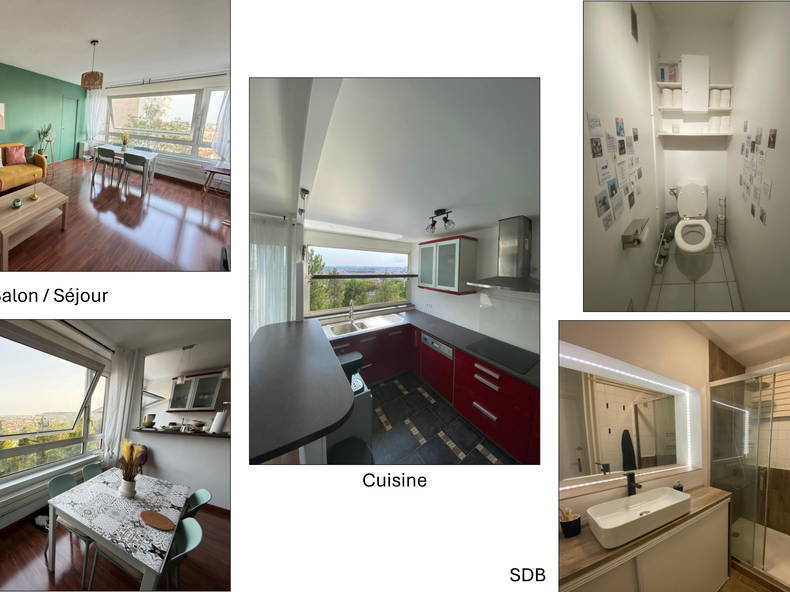 Colocation Nancy 658984-3