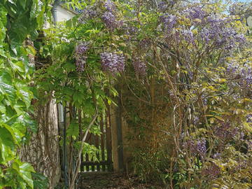 Chambre Chez L'habitant Sablons Sur Huisne 397185-8