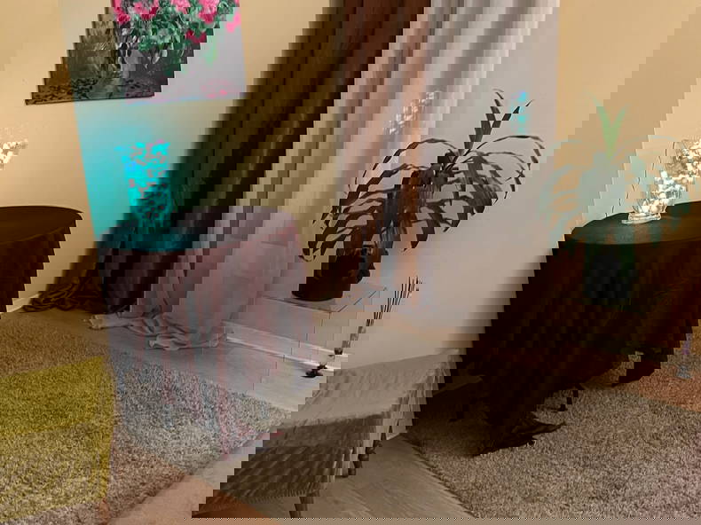 Chambre Chez L'habitant Évry-Courcouronnes 262807-4