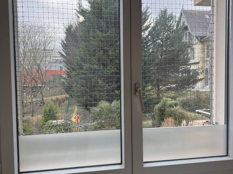 Homestay Versoix 484285-2