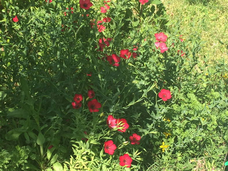 Chambre Chez L'habitant Perpignan 108639-2