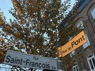 Kolokasie Québec 577752-4