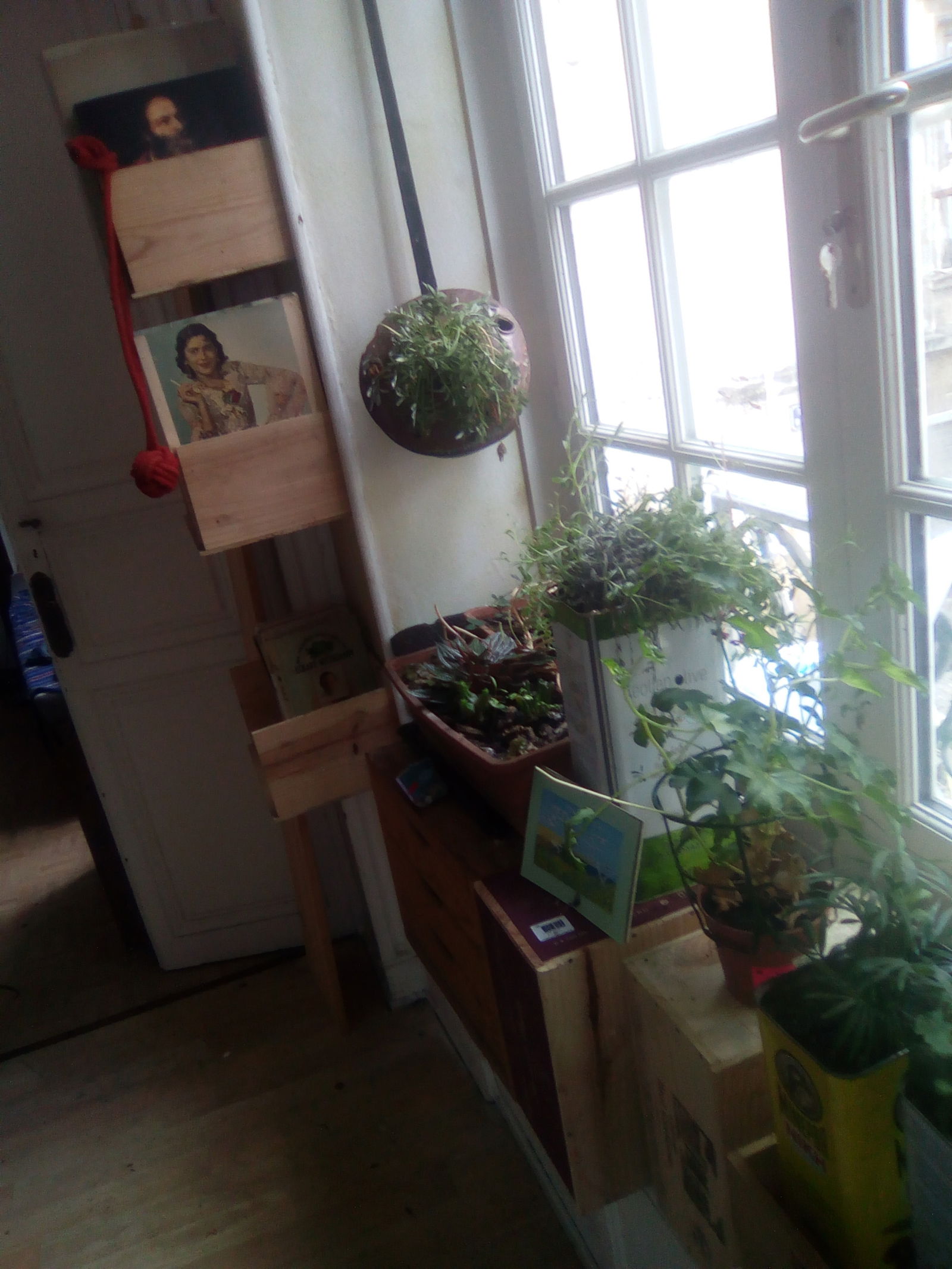 Homestay Bordeaux 77951