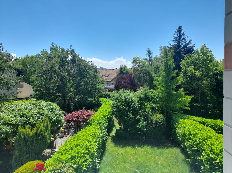 Colocation Renens 331519-3