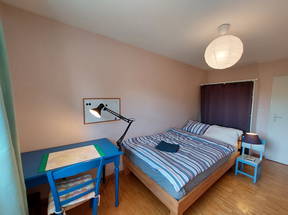 Sunny room in town house near Lausanne-1