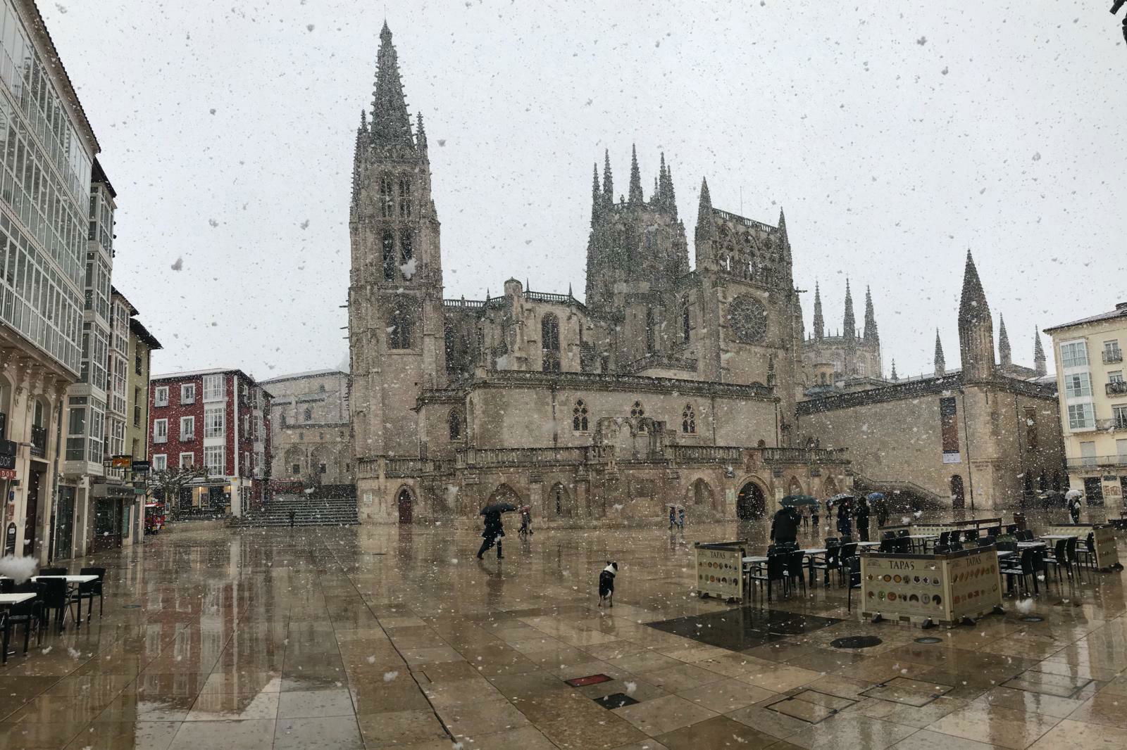 Colocation Burgos 123760