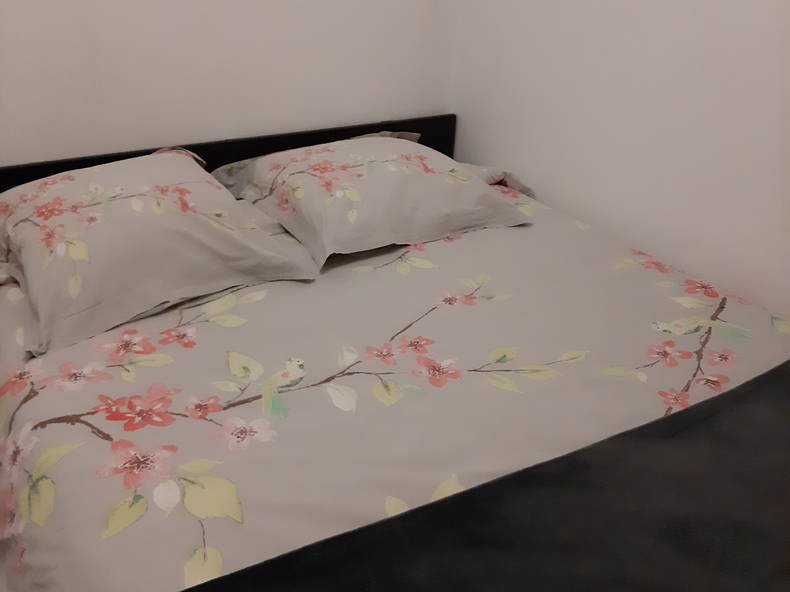 Kolokation Annemasse 156060-2